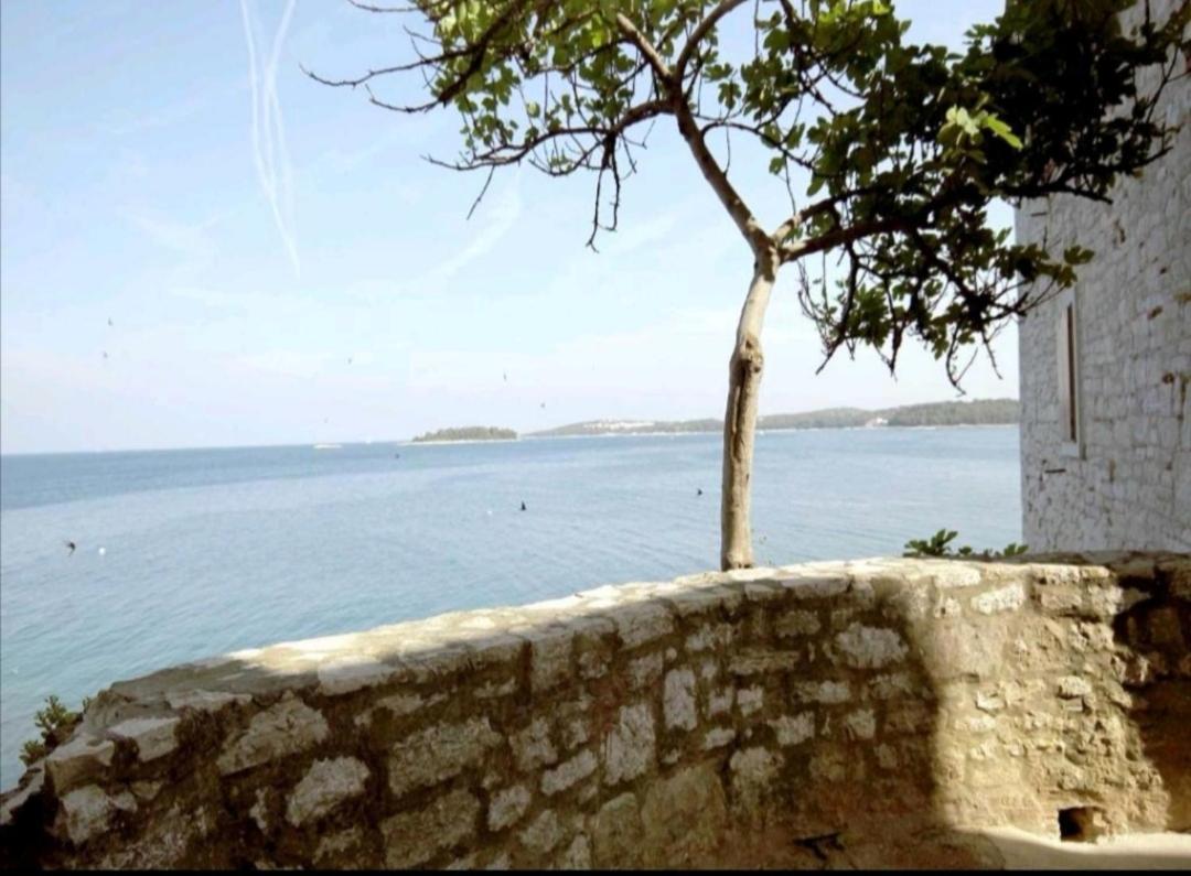 Apartment Martin - 10 Mt To The Beach Rovinj Eksteriør billede