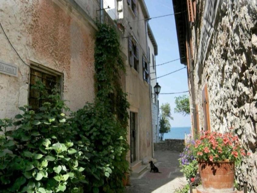Apartment Martin - 10 Mt To The Beach Rovinj Eksteriør billede